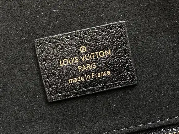 TO Vuitton Nova MM Louis 0227