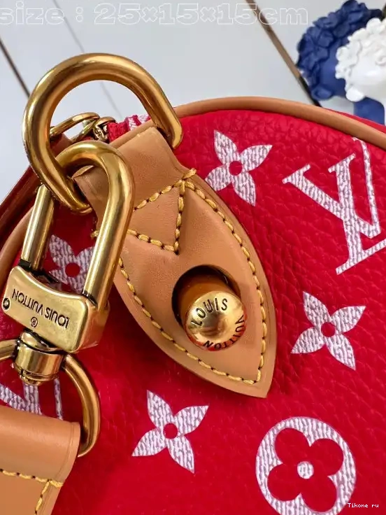 TO 25 Louis Vuitton SPEEDY 0226