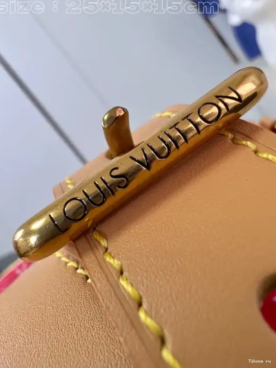 TO 25 Louis Vuitton SPEEDY 0226