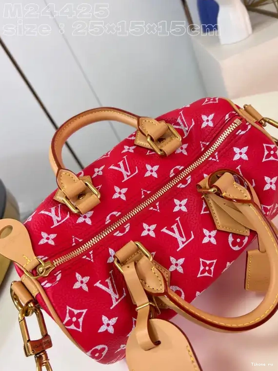 TO 25 Louis Vuitton SPEEDY 0226