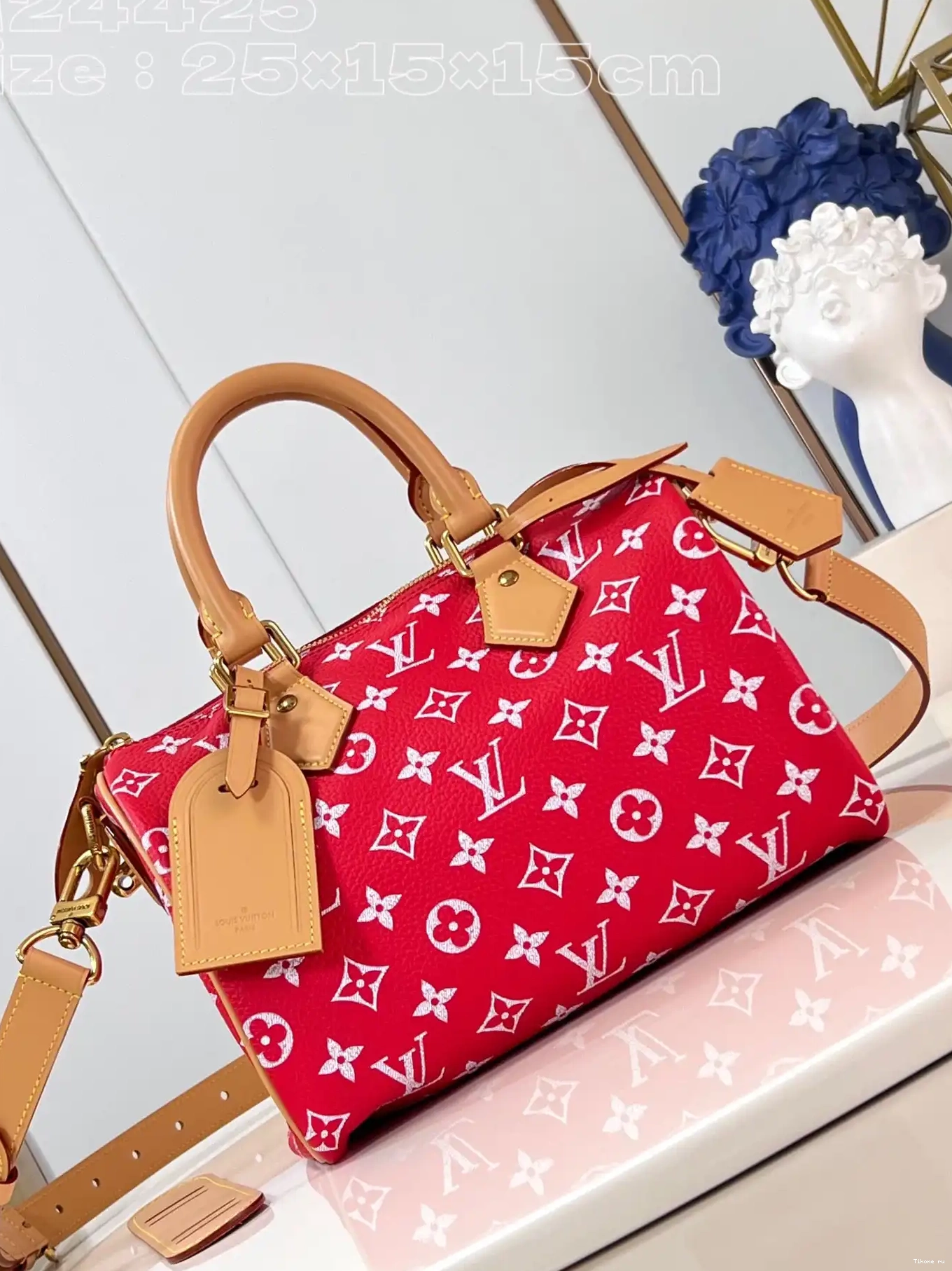 TO 25 Louis Vuitton SPEEDY 0226