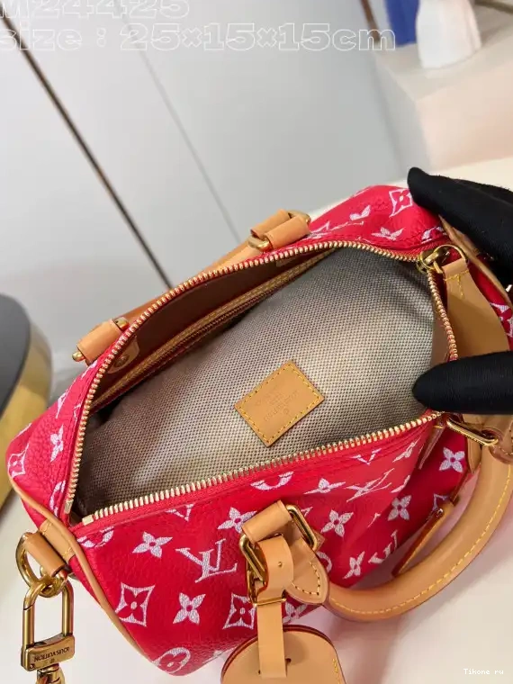 TO 25 Louis Vuitton SPEEDY 0226