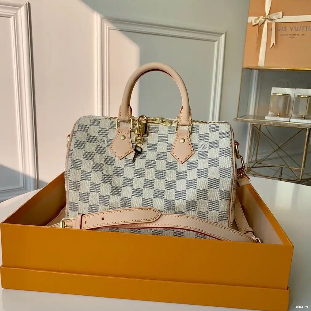 TO SPEEDY 25 Louis Vuitton BANDOULIERE 0211