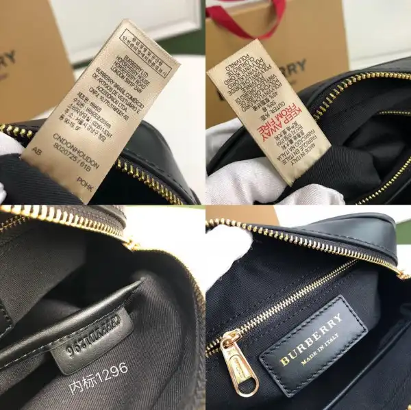 TO BURBERRY Medium Monogram Stripe E-canvas Camera Bag 0207