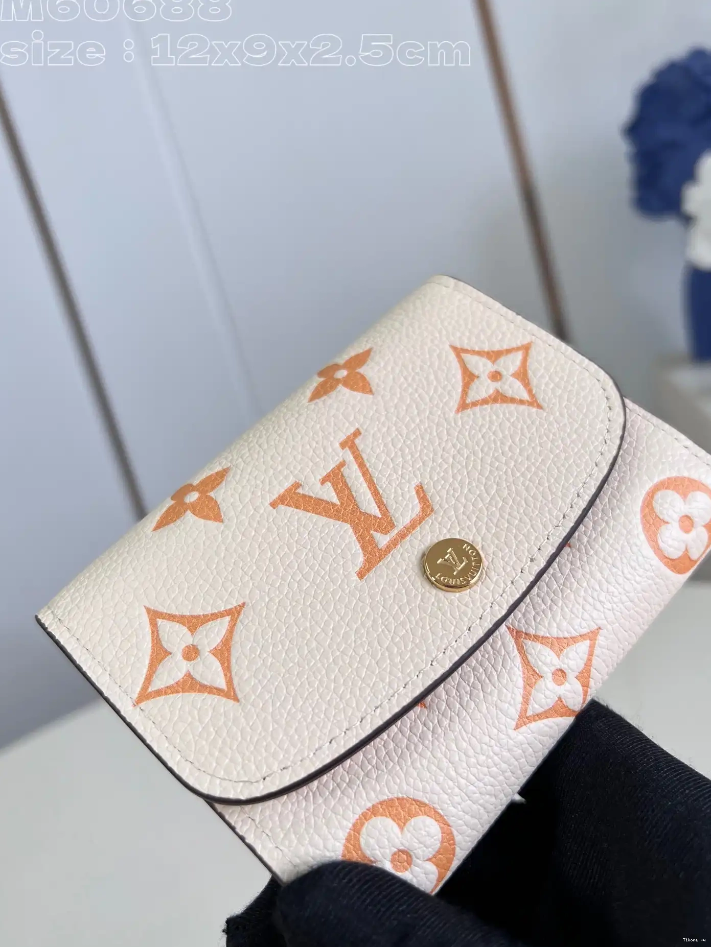 TO cm LOUIS VUITTON WALLET-12*9.5*2.5 VICTORINE 0226