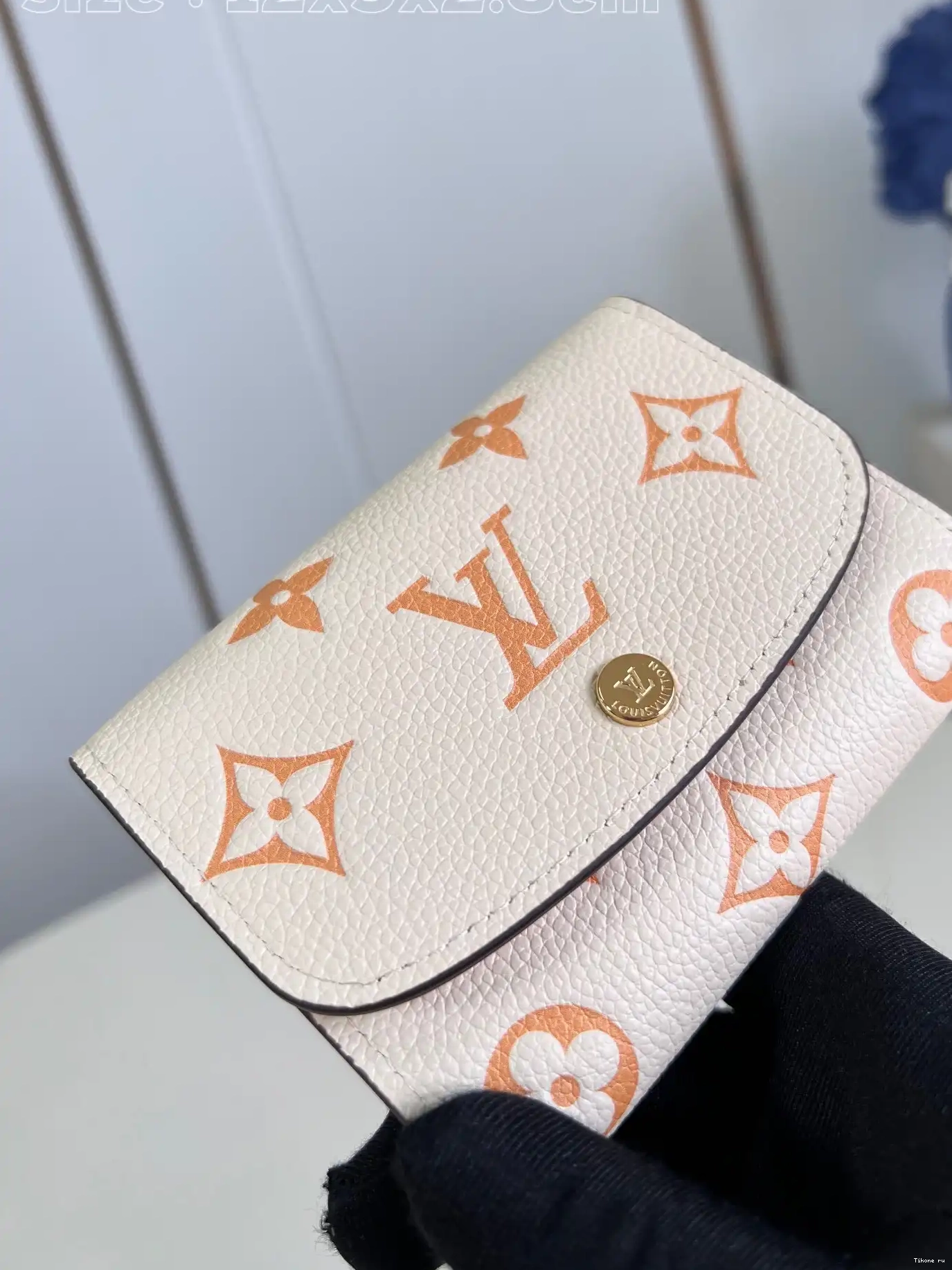 TO cm LOUIS VUITTON WALLET-12*9.5*2.5 VICTORINE 0226