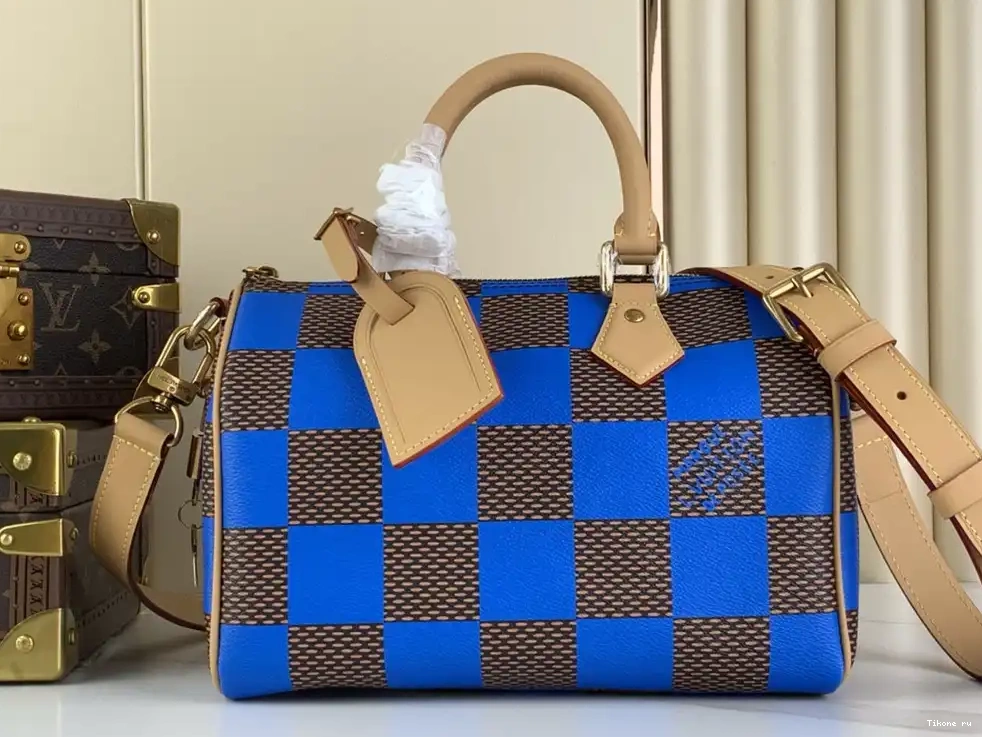 TO Louis SPEEDY Vuitton 25 0213