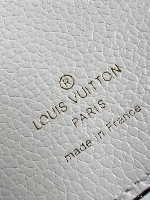 TO cm LOUIS VUITTON WALLET-12*9.5*2.5 VICTORINE 0226