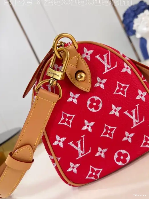 TO 25 Louis Vuitton SPEEDY 0226