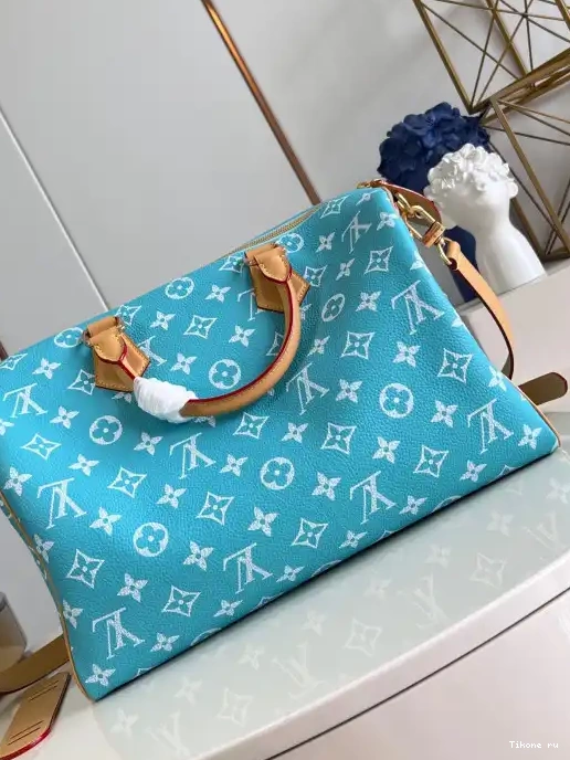 TO Vuitton Louis 40 SPEEDY 0311