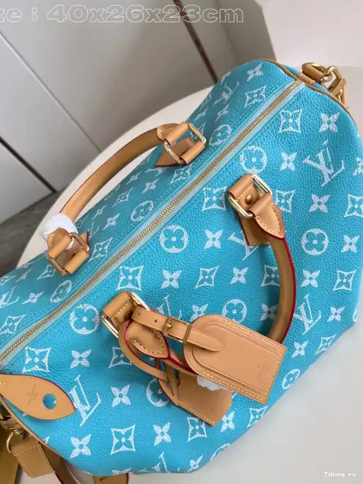 TO Vuitton Louis 40 SPEEDY 0311