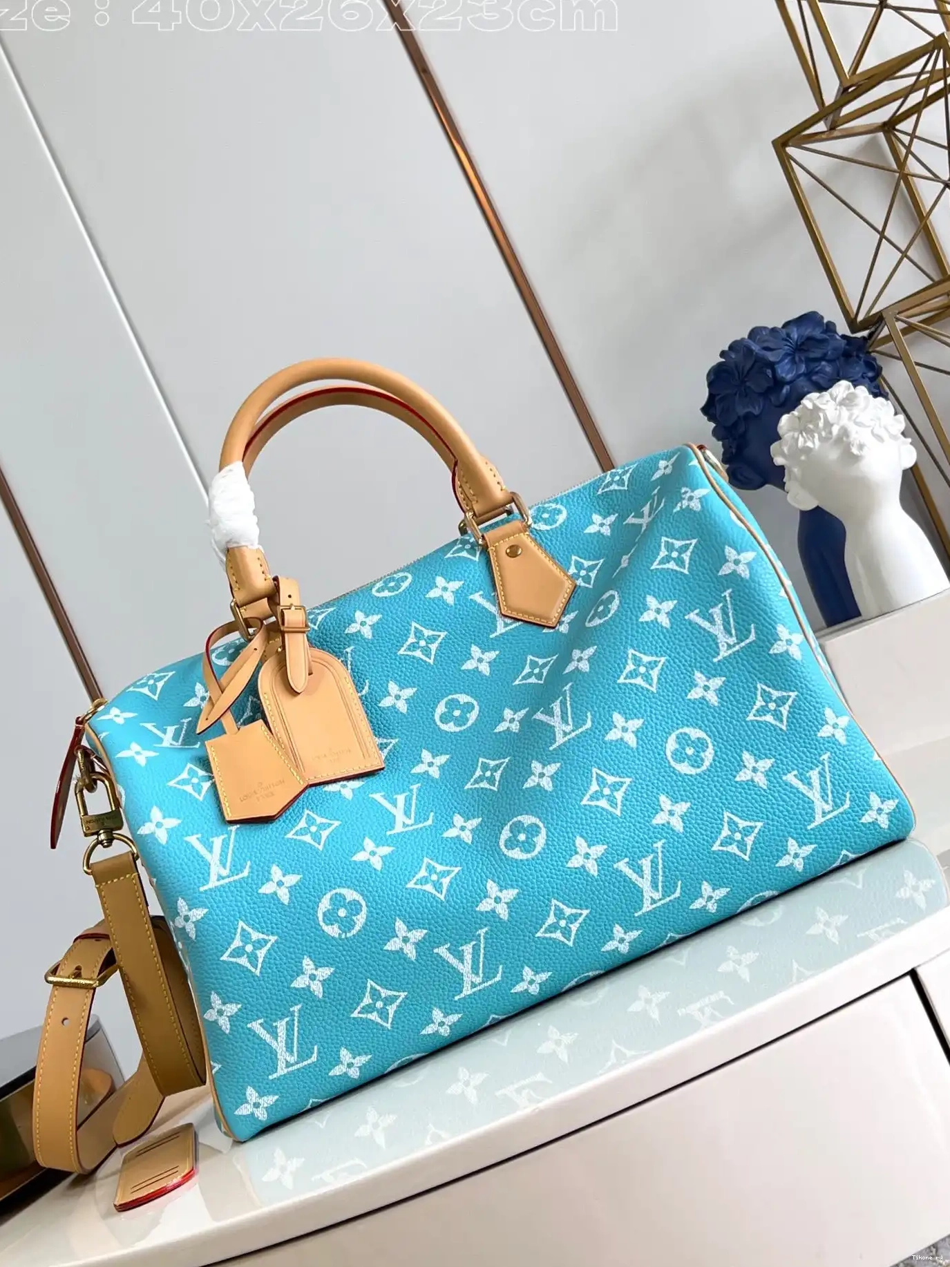 TO Vuitton Louis 40 SPEEDY 0311