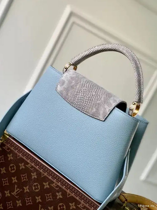 TO LOUIS MM VUITTON CAPUCINES 0312