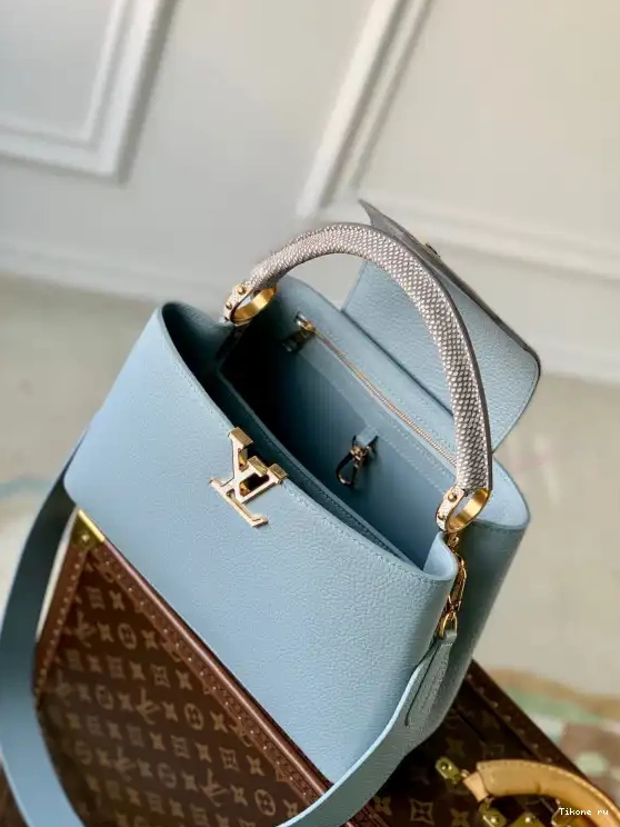 TO LOUIS MM VUITTON CAPUCINES 0312